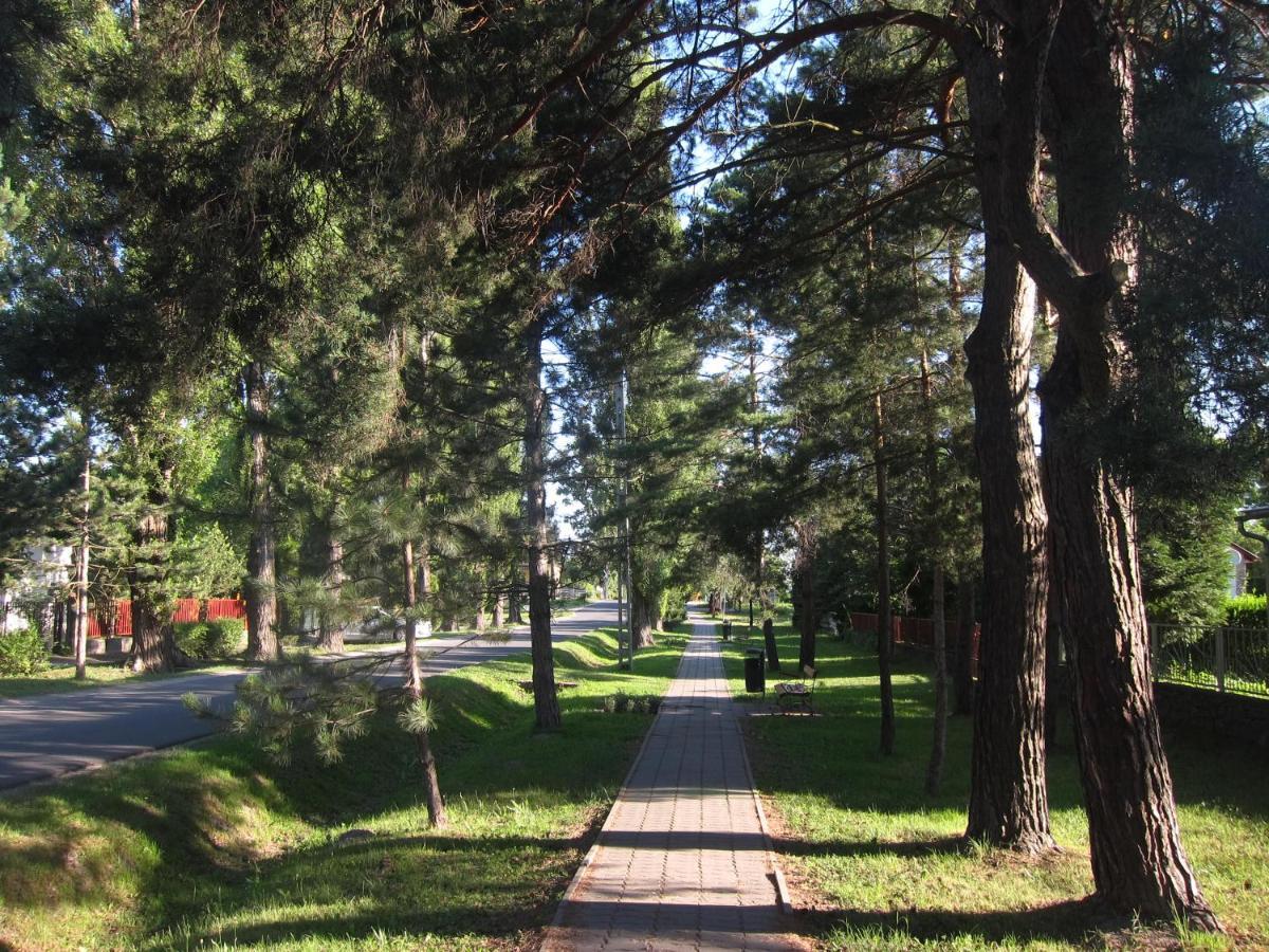 Tutijo Haziko Βίλα Balatonfenyves Εξωτερικό φωτογραφία